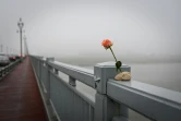 Une fleur sur le pont de Nankin, enjambant le Yangtsé, en Chine, le 2 avril 2021