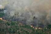 Incendie de forêt volontaire près de Labrea, en Amazonie brésilienne, le 4 septembre 2024