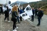 Emmanuel Macron accueilli à Cozzano en Corse par des dizaines de drapeaux corses encadrés par les forces de l'ordre, le 4 avril 2019