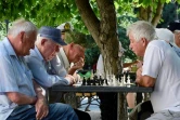 Des joueurs d'échecs à Sébastopol, le 15 juillet 2022 en Crimée