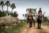 Deux garçons montent des boeufs de labour à Malamawa (Niger) dans le Sahel le 30 juin 2019