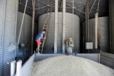 L'agriculteur Sébastien Méry dans le hangard qui abrite son silo à grain, à Chevannes le 7 août 2020
