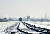 Vue sur le chemin de fer dans l'ex-camp de concentration d'Auschwitz-Birkenau, le 27 janvier 2014