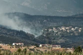 La fumée d'un incendie de forêt s'élève près du village de Psachna sur l'île grecque d'Eubée le 14 août 2019