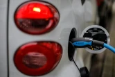 Pour l'automobile par exemple, "le point de bascule mondial viendra quand le prix des véhicules électriques sera le même que celui des modèles thermiques," explique Tim Lenton, professeur en sciences de la Terre à l'université britannique d'Exeter