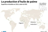 La production d'huile de palme