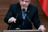 Le président turc, Recep Tayyip Erdogan, le 19 janvier 2017 à Ankara