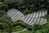 Vue du jardin botanique à Quindio, le 6 juillet 2020 créé par Alberto Gomez