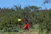 Des jeunes filles frappent des boîtes en essayant d'éloigner un essaim de friquets près du village de Larisoro, au nord de Nairobi, le 21 janvier 2020.