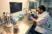 Le docteur Nisar Wani, directeur scientifique du Centre de reproduction biotechnologique, examine des échantillons a microscope, le 4 juin 2021 à Dubaï