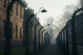 Des barrières de barbelés dans l'ancien camp d'extermination d'Auschwitz à Oswiecim en Pologne, le 5 décembre 2019 