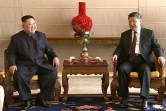Capture d'écran de la télévision chinoise CCTV du président chinois Xi Jinping (d) et du leader nord-coréen Kim Jong Un, le 9 janvier 2019 à Pékin