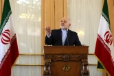 Le chef de la diplomatie iranienne Mohammad Javad Zarif lors d'une conférence de presse, le 13 février 2019 à Téhéran