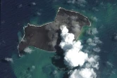 Image satellite fournie le 18 janvier 2022 par Maxar Technologies montrant la fumée  et les cendres rejettées par le volcan Hunga-Tonga-Hunga-Ha'apai aux îles Tonga
