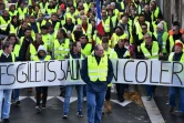 Manifestation de "gilets jaunes", à Rochefort (Charente-Maritime) le 24 novembre 2018