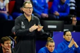 L'entraîneur de l'équipe de France féminine de handball suit le match contre la Slovénie lors de l'Euro-2018, le 2 décembre 2018 à Nancy 