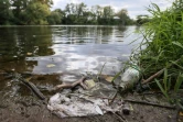 Pollution sur une berge de la rivière Soura à Penza, à 600 km de Moscou, le 22 août 2023  
