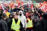 Des personnes manifestent contre la réforme des retraites, à Saint-Herblain près de Nantes le 12 décembre 2019