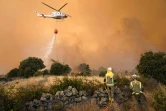 Incendie de forêt à Navalmoral de la Sierra, dans le centre de l'Espagne, le 16 août 2021