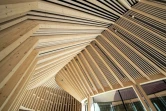 Les charpentes en bois du nouveau musée consacré aux exilés conçu par l'architecte danois Bajarke Ingels, le 25 juin 2022 à Oksbøl, au Danemark