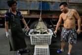 Des travailleurs portent un seau sur le marché aux poissons de Wuhan le 6 août 2020