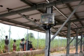 Le compteur d'une station de mini-réseaux hybrides principalement alimentée par l'énergie solaire à Doma, dans l'Etat de Nassarawa, le 16 octobre 2023 au Nigeria