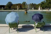 Fortes températures au Jardin des Tuileries, à Paris, le 10 septembre 2023.