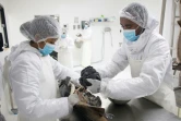 Des employés de Rova Caviar extraient des oeufs d'un esturgeon, le 4 juin 2019 à Mantasoa, à Madagascar