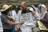 Des apiculteurs lancent un cri d'alarme sur le déclin des abeilles à Strasbourg, le 7 juin 2018