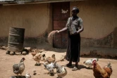 Monica, 30 ans, a investi dans un élevage de poulets dans son village de Bondo, au Kenya le 3 octobre 2018