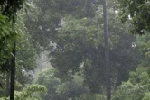 Mercredi 30 janvier 2008 -

De fortes pluies continuent de s'abattre sur La Réunion