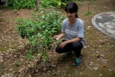 La militante écologique Howey Ou près d'un arbre qu'elle a planté devant la maison familiale à Guilin (Chine), le 7 août 2020