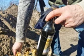 Des cocktails Molotov préparés par des volontaires à Kiev, le 28 février 2022 