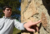 Pierre Poupart, conservateur de la réserve naturelle "Rochechouart-Chassenon" montre la trace d'un impact de météorite, le 17 octobre 2017 à Rochechouart, en Haute-Vienne