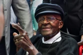 L'archevêque sud-africain Desmond Tutu, icône de la lutte contre l'apartheid et Prix Nobel de la Paix, au Cap le 7 octobre 2016