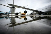 Des avions entreposés sur le terrain de l'entreprise Tarmac Aerosave à Azereix, dans le sud-ouest de la France, le 4 février 2021