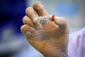 Une dose de vaccin contre le Covid-19 présenté le 23 mai 2020 prêt à être testé sur des singes dans un centre de recherche à Saraburi (Thailande)