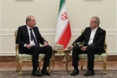 Une photo fournie par le bureau du président iranien Massoud Pezeshkian montre ce dernier (D) rencontrant le ministre jordanien des Affaires étrangères Ayman Safadi à Téhéran, le 4 août 2024
