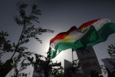 Des Kurdes syriens brandissent des branches d'olivier lors d'une manifestation devant un bâtiment des Nations unies à Erbil, capital de la région autonome du Kurdistan irakien, le 23 janvier 2018