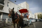 Alexandrine Martin et le cheval Queteur collectent les déchets alimentaires, le 16 octobre 2023 à Stains, en Seine-Saint-Denis