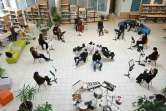 Des musiciens de l'orchestre Victor Hugo jouent pour les lycéens à la bibliothèque du lycée Germaine-Tillon à Montbéliard, dans le Doubs, le 4 mars 2021