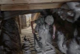 Un soldat ukrainien dans un abri souterrain près de la ligne de front, le 20 août 2022 dans le sud de l'Ukraine