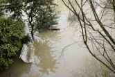 Des bancs submergés par les eaux de la Seine, le 29 janvier 2018 à Villennes-sur-Seine dans les Yvelines