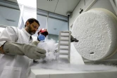 Le docteur Nisar Wani, directeur scientifique du Centre de reproduction biotechnologique, examine des échantillons congelés, le 4 juin 2021 à Dubaï