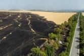 Vue aérienne de champs de blés incendiés après une frappe aérienne russe près de Siversk, dans la région de Donetsk (est de l'Ukraine), le 8 juillet 2022 