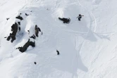 La Française Marion Haerty lors de l'étape d'Hakuba du circuit mondial 2020 FWT de snowboard freeride, le 19 janvier 2020 