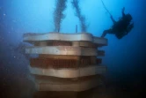 Des plongeurs déposent des récifs artificiels  "hôtel à poissons" d'une dizaine de tonnes à 30 mètre de profondeur dans les eaux usées au large des calanques de Marseille, le 30 janvier 2018