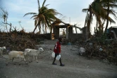 Scène de dévastation, le 11 octobre 2016 en Haïti