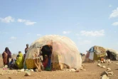 Un camp de personnes déplacées près de Baidoa dans le sud-ouest de la Somalie, le 14 mars 2017