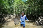 Pirun Kla-Talay, qui a perdu ses parents lors du tsunami de 2004, ramasse des crabes dans le district de Bang Wa, dans la province de Phang Nga, le 19 novembre 2024 en Thaïlande